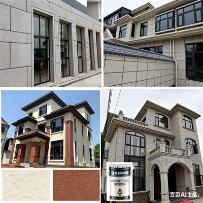 Stone Paint Stone Paint